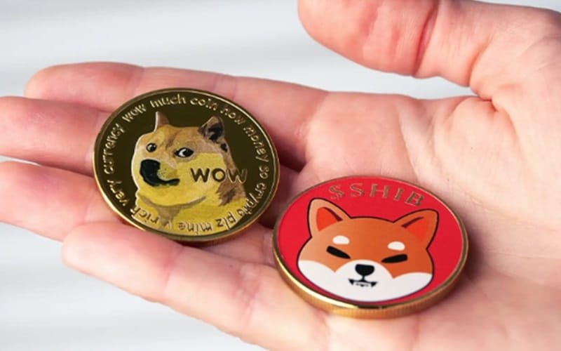 Memecoins moedas virtuais negócio investimento Misto Brasil