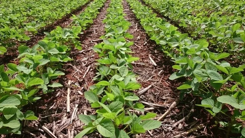 Lançado edital para entidades no acordo do Rio Doce