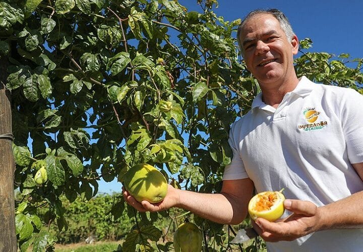 Lançado o Plano de Desenvolvimento da Bioeconomia