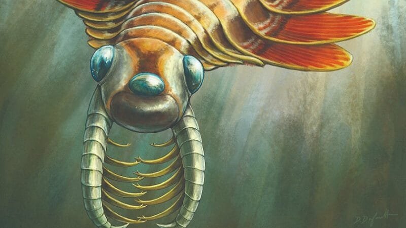 Descoberto animal marinho de 506 milhões de anos com três olhos