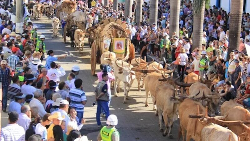 Temporada religiosa deve aumentar 20% as vendas em Goiânia