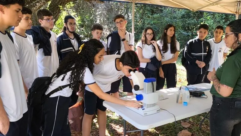 Pesquisa irá avaliar proibição de celulares nas salas de aula