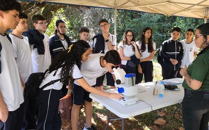 Pesquisa irá avaliar proibição de celulares nas salas de aula