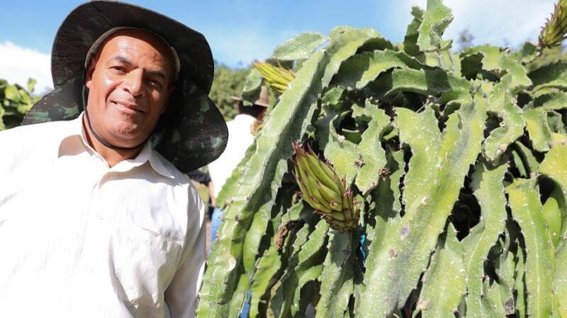 Vilmar Rodrigues de Morais é produtor rural há cinco anos de pitayas em Brazlândia e recebeu outros produtores para um dia de campo/Paulo H. Carvalho/Agência Brasília