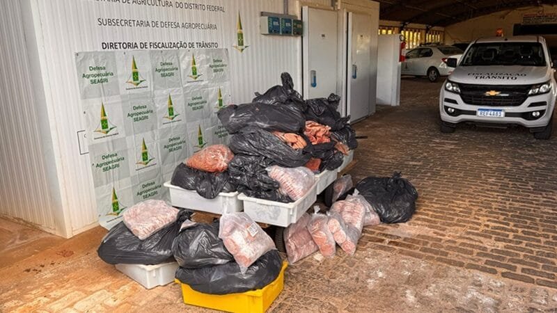 Apreendidos 865 quilos de carne em condições precárias