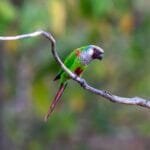 Clima: de olho no bolso e nos preços em 2026