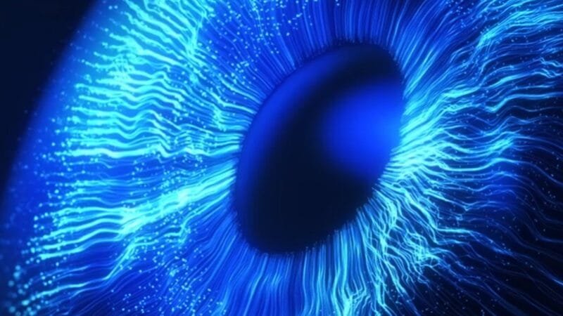 Empresa de tecnologia anunciou 130 oportunidades