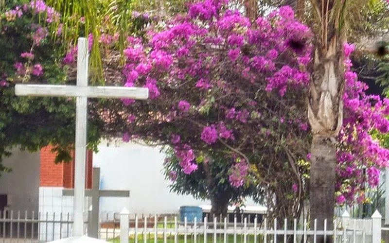 Ceansg centro de umbanda Brasília DF Misto Brasil