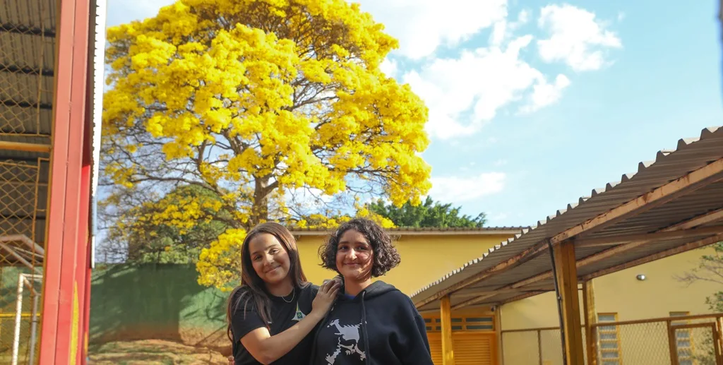 Ipê-amarelo Maria Eduarda Vieira e Alice Oliveira Misto Brasil