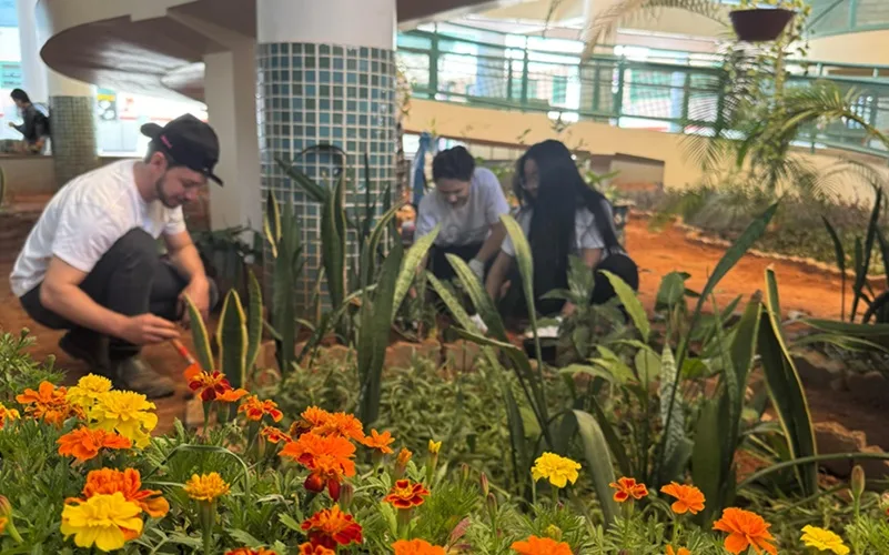Mutirão escola Recanto das Emas voluntaporiado Misto Brasil