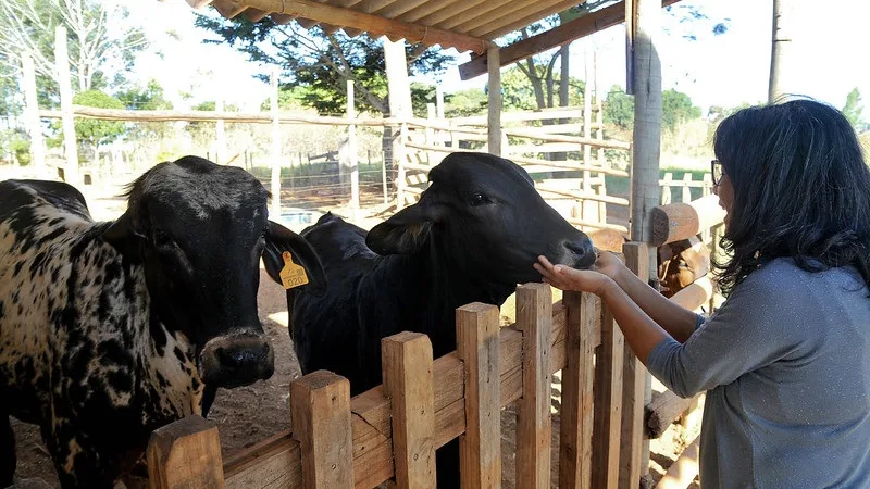 Produtores rurais podem receber assistência e crédito