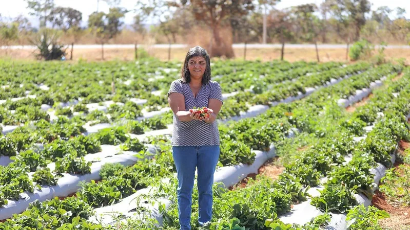 Termina hoje o prazo para inscrição no Mulheres no Campo