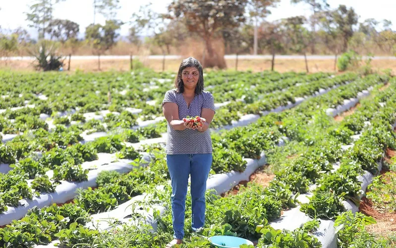 Produtora rural Osmarina Oliveira Silva DF morango Misto Brasil