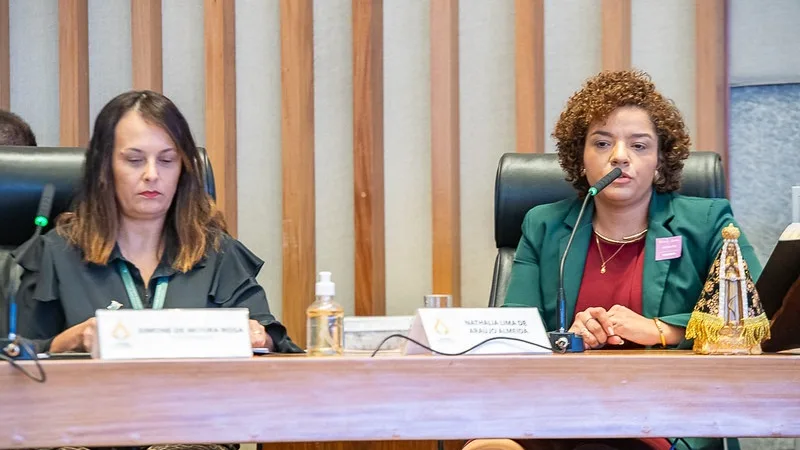 Seara é denunciada por supostos problemas ambientais