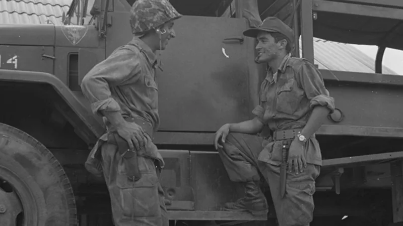 Boi pode voar na política?