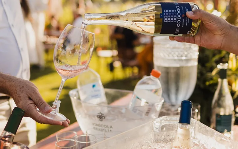 Vinho Cobogó Sauvignon Blanc Brasília Misto Brasil