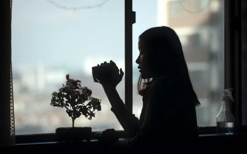 Filme 100 Sunset cinema cultura Misto Brasil