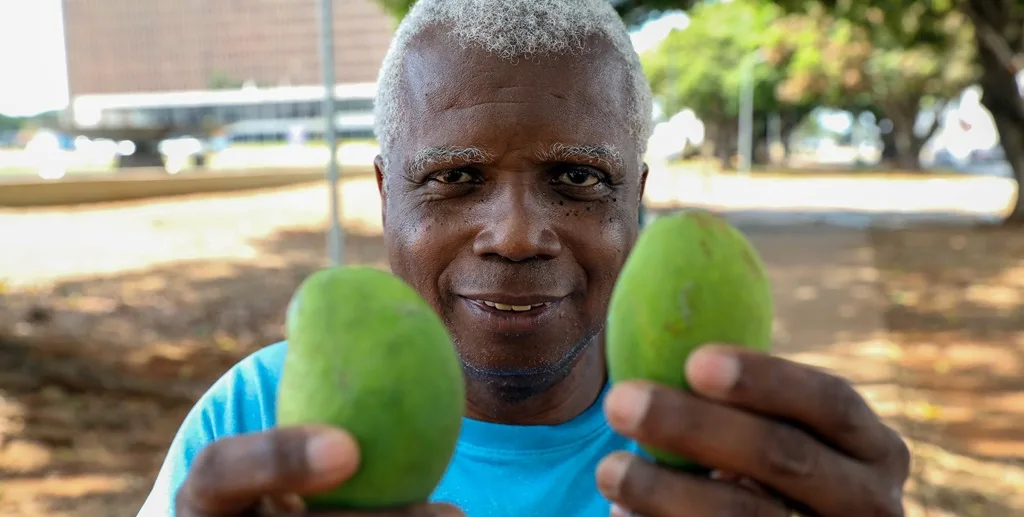 Manga Wilto Silva DF Misto Brasil