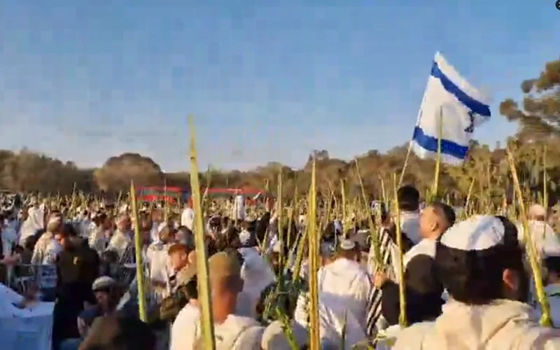 Libertação reféns Israel festa Misto Brasil