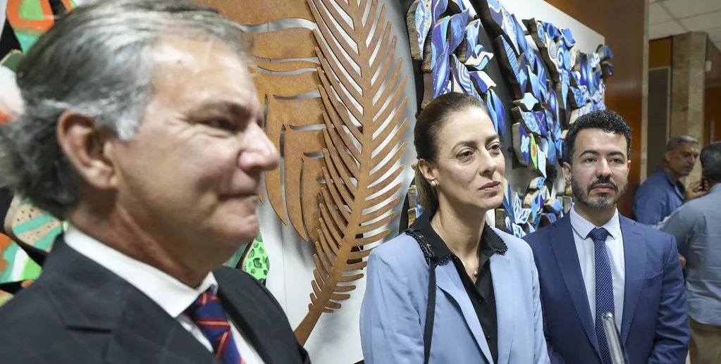 Renata Marinho subprocuradora DF Misto Brasil