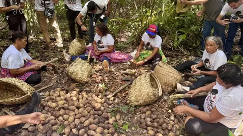 COP30: tempo de mão na massa