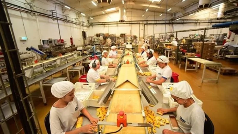 Indústria de amendoim tem novo executivo