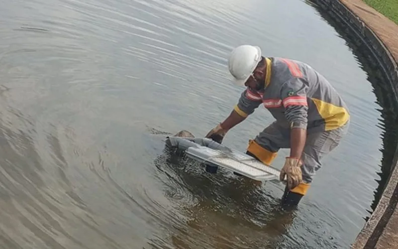 Vândalos deixam novamente a Catedral sem iluminação