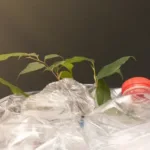 Fórum vai debater em Brasília crédito ao fomento