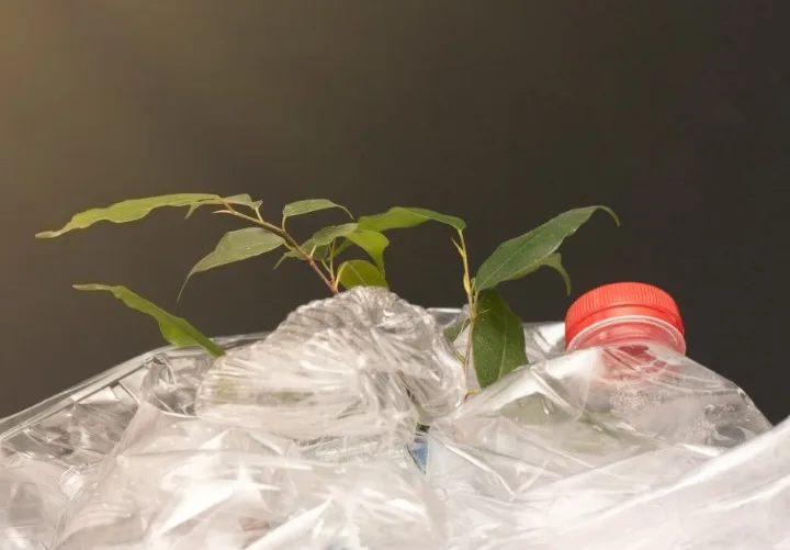 Fórum vai debater em Brasília crédito ao fomento