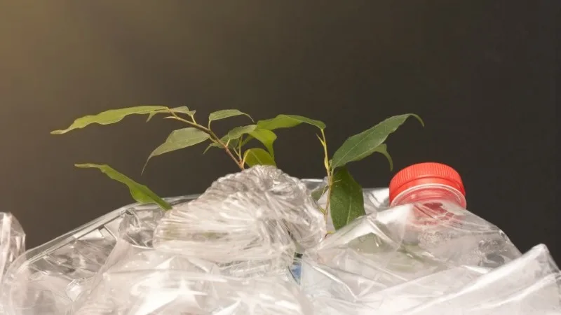 Fábrica de recliclagem de PET será concluída em novembro