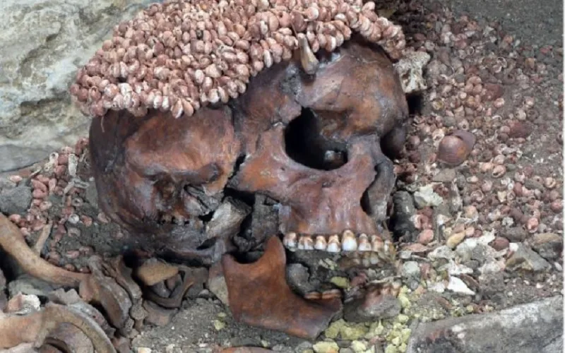 Jovem de 15 anos foi morto por urso há 28 mil anos