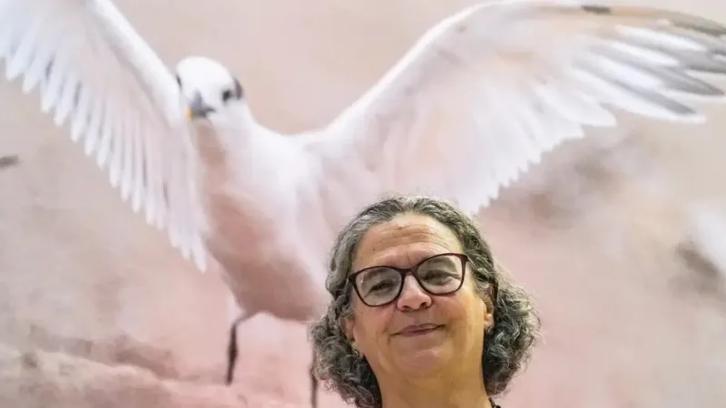Rita Mesquita é secretária Nacional de Biodiversidade, Florestas e Direitos Animais na COP15, em Campo Grande/Rafa Neddermeyer/Agência Brasil