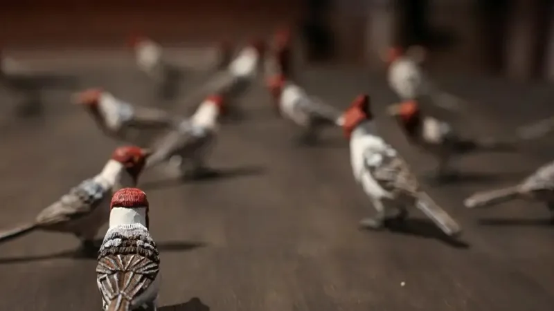 Detalhe da exposição Constelações – 40 anos do Paço Imperial, no centro da cidade do Rio de Janeiro/Tomaz Silva/Agência Brasil