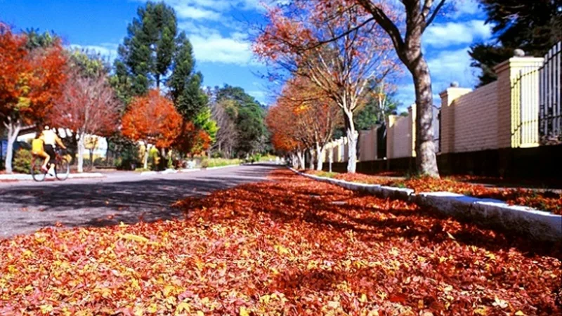 Outono deve começar com calor e chuvas devem diminuir