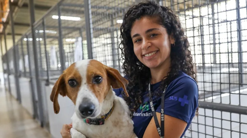 Andressa Jalyne, gerente da Zoonoses, cuida da saúde dos pets que podem ser adotados, mas muitos animais aguardam um tutor há mais de um ano/Joel Rodrigues/Agência Brasília