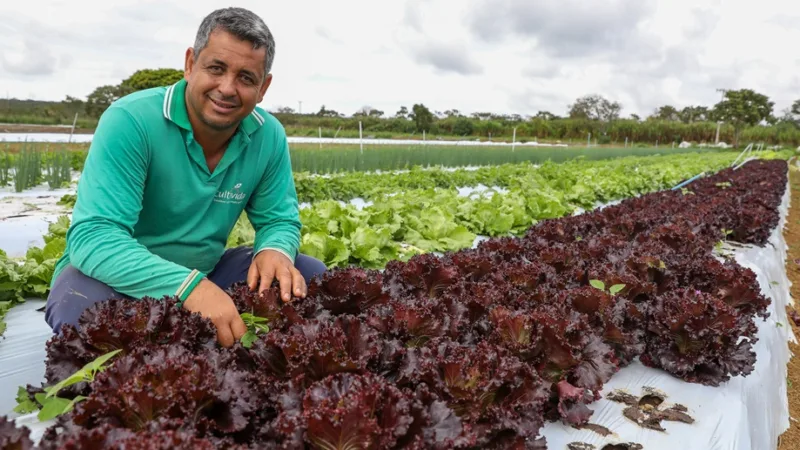 Marilúcio da Silva coordena uma produção anual de 150 toneladas de alimentos orgânicos entre Santa Maria e São Sebastião/Paulo H. Carvalho/Agência Brasília