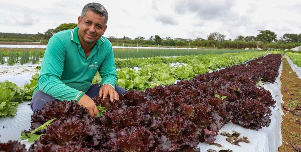 Marilúcio da Silva coordena uma produção anual de 150 toneladas de alimentos orgânicos entre Santa Maria e São Sebastião/Paulo H. Carvalho/Agência Brasília