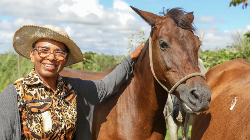 Lúcia dos Santos Costa adotou quatro cavalos que estavam no curral da Secretaria da Agricultura, na área rural de Samambaia/Paulo H. Carvalho/Agência Brasília