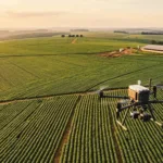 Executiva vai presidir entidade que reúne empresas de pesquisa