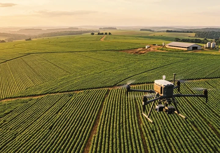 Executiva vai presidir entidade que reúne empresas de pesquisa
