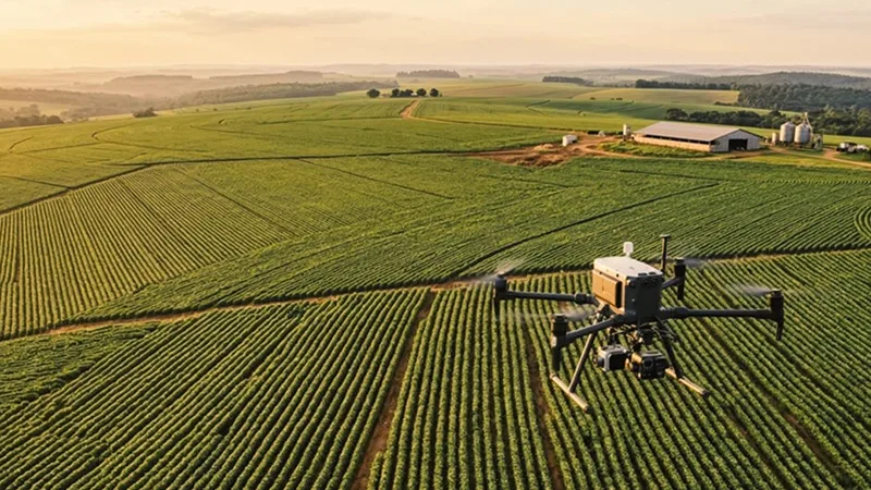 Executiva vai presidir entidade que reúne empresas de pesquisa