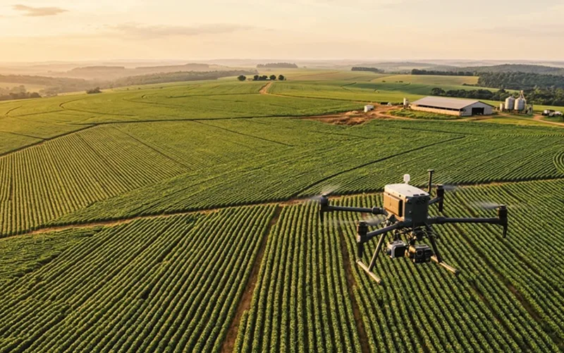 Executiva vai presidir entidade que reúne empresas de pesquisa