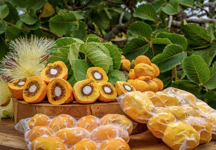 Feira Brasil será realizada na Embrapa Cerrados