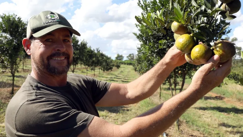 Ivan Engler é produtor rural que está integrado ao sistema de venda de produtos locais para a rede pública de ensino/Lúcio Bernardo Jr/Agência Brasília