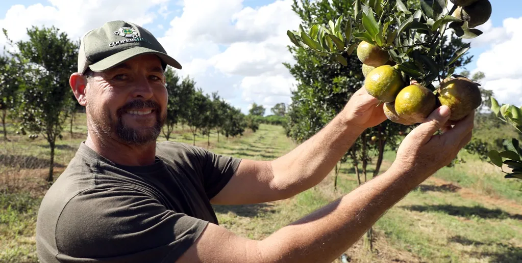 Ivan Engler é produtor rural que está integrado ao sistema de venda de produtos locais para a rede pública de ensino/Lúcio Bernardo Jr/Agência Brasília