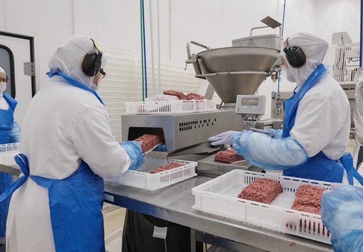 Empresa de proteína animal anuncia investimentos