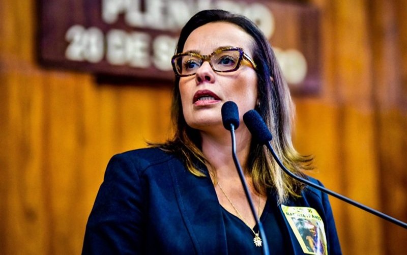 Juliana Brizola PDT Rio Grande do Sul Misto Brasil