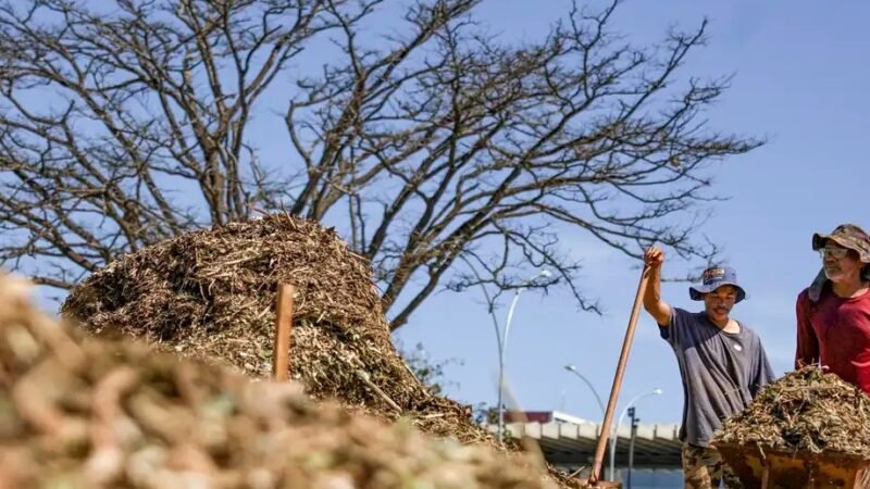 Trabalhadores reúnem material de compostagem no Sesi Lag, que tem um laboratório de aprendizagem de sustentabilidade/Marcelo Camargo/Agência Brasil