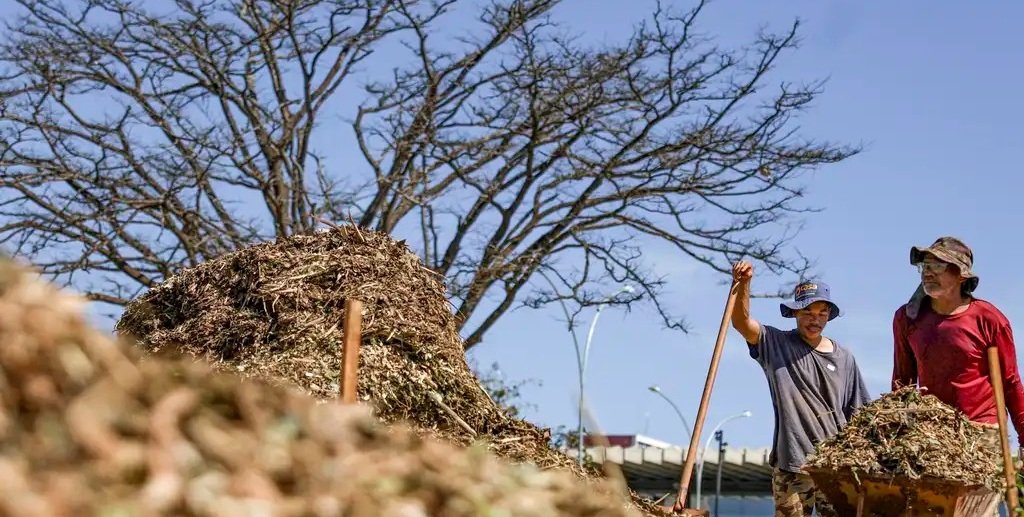 Trabalhadores reúnem material de compostagem no Sesi Lag, que tem um laboratório de aprendizagem de sustentabilidade/Marcelo Camargo/Agência Brasil