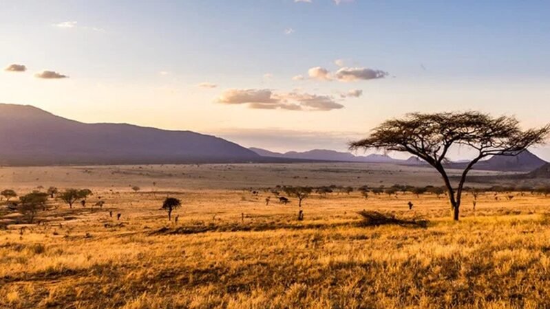 Agricultura no Cerrado pode servir de modelo às savanas africanas